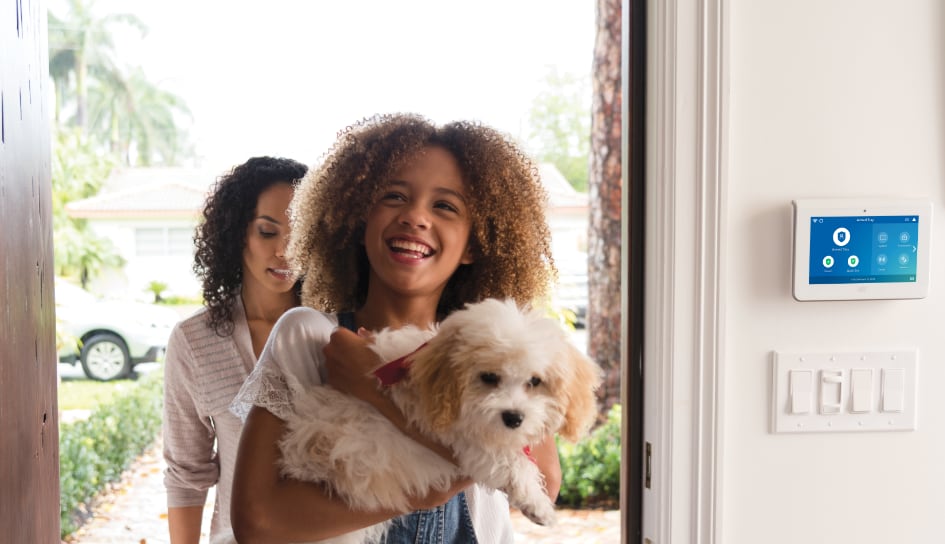 ADT Security System in a Chicago home